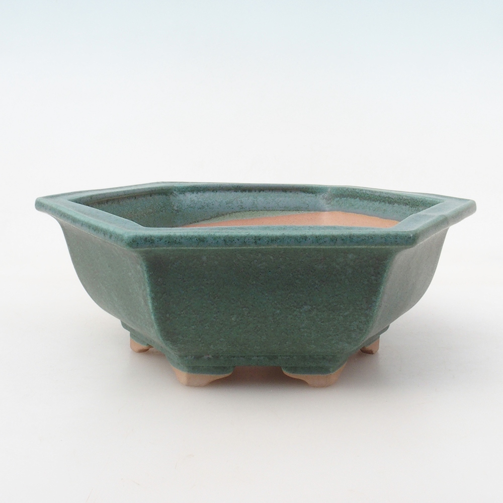 Bonsai miska + podmiska H53 - 19 x 21,5 x 7 cm. - zelená