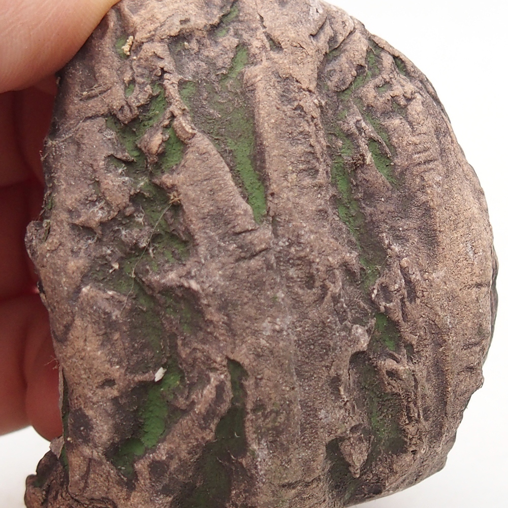 Keramická Skořápka  6,5 x 5,5 x 6 cm , barva zelená