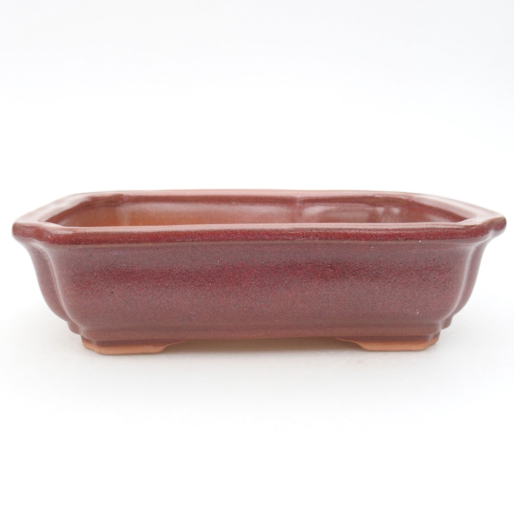 Keramická bonsai miska 18 x 13,5 x 5 cm, barva vínová