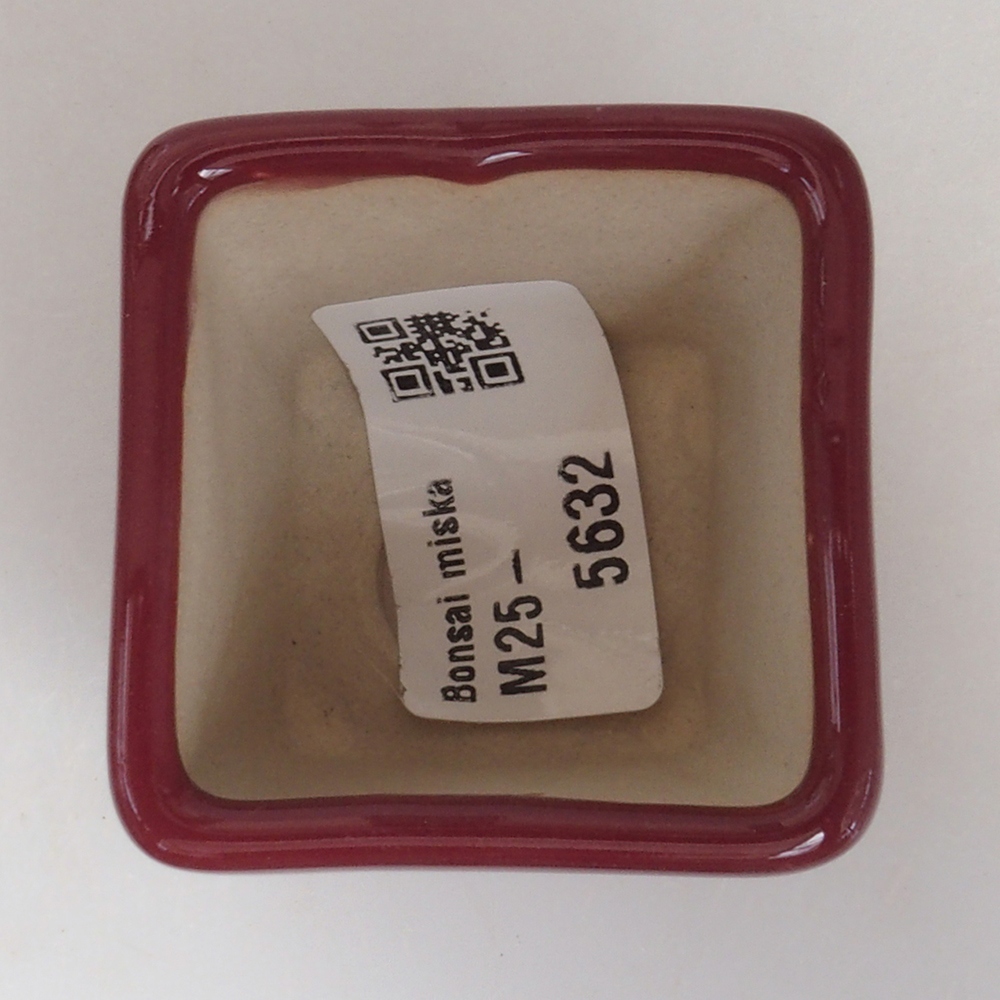 Mini bonsai miska 4,5 x 4,5 x 4,5 cm, barva vínová