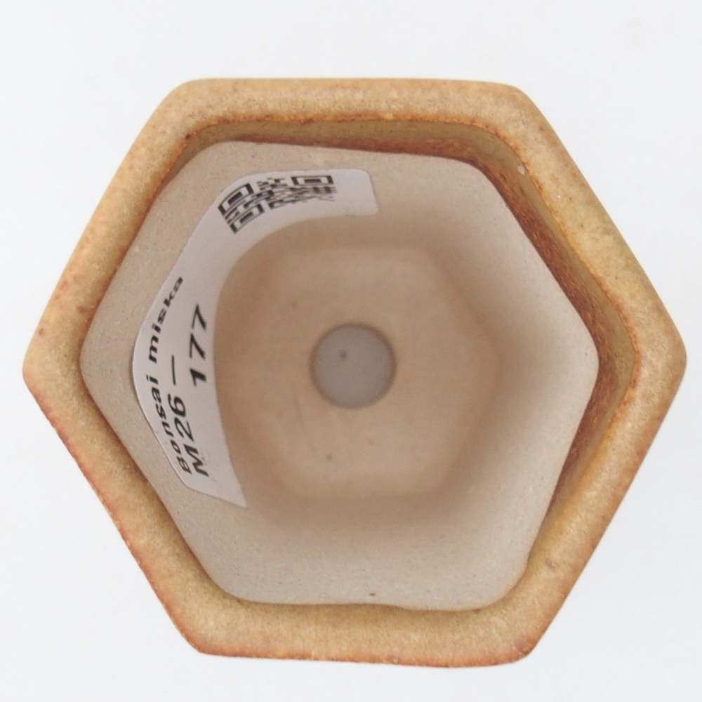 Mini bonsai miska 5 x 4,5 x 6,5 cm, barva hnědá