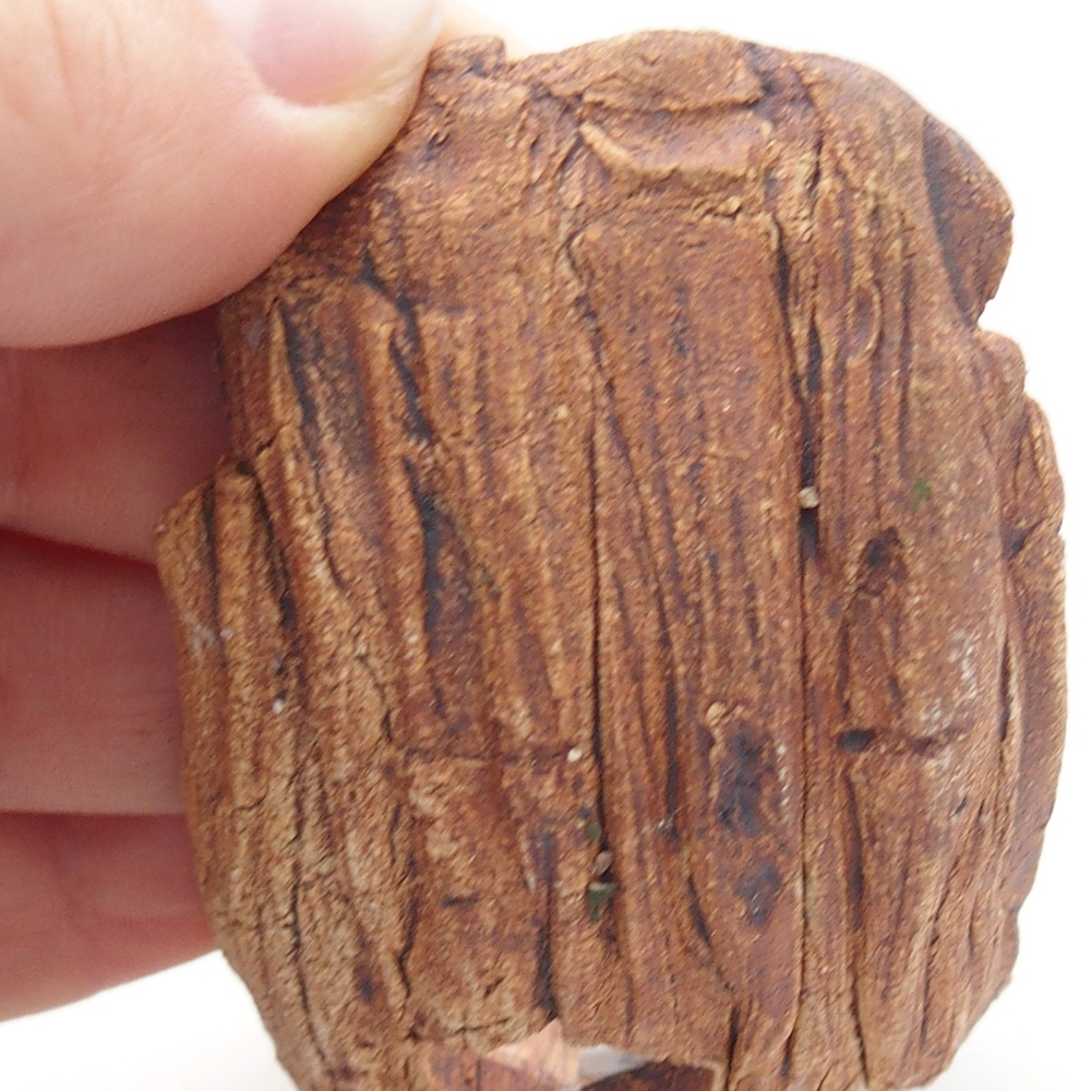 Keramická Skořápka  9 x 4,5 x 4,5 cm , barva hnědá