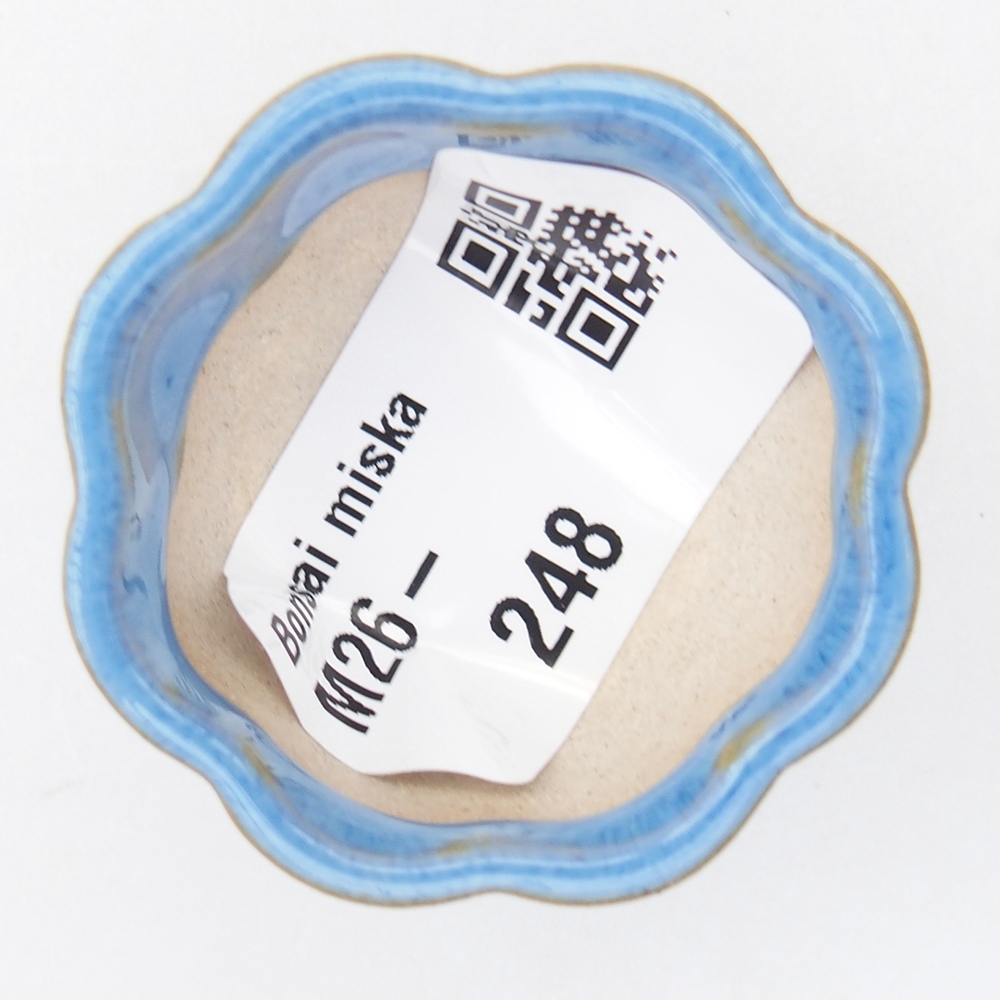 Mini bonsai miska 4 x 4 x 2 cm, barva modrá