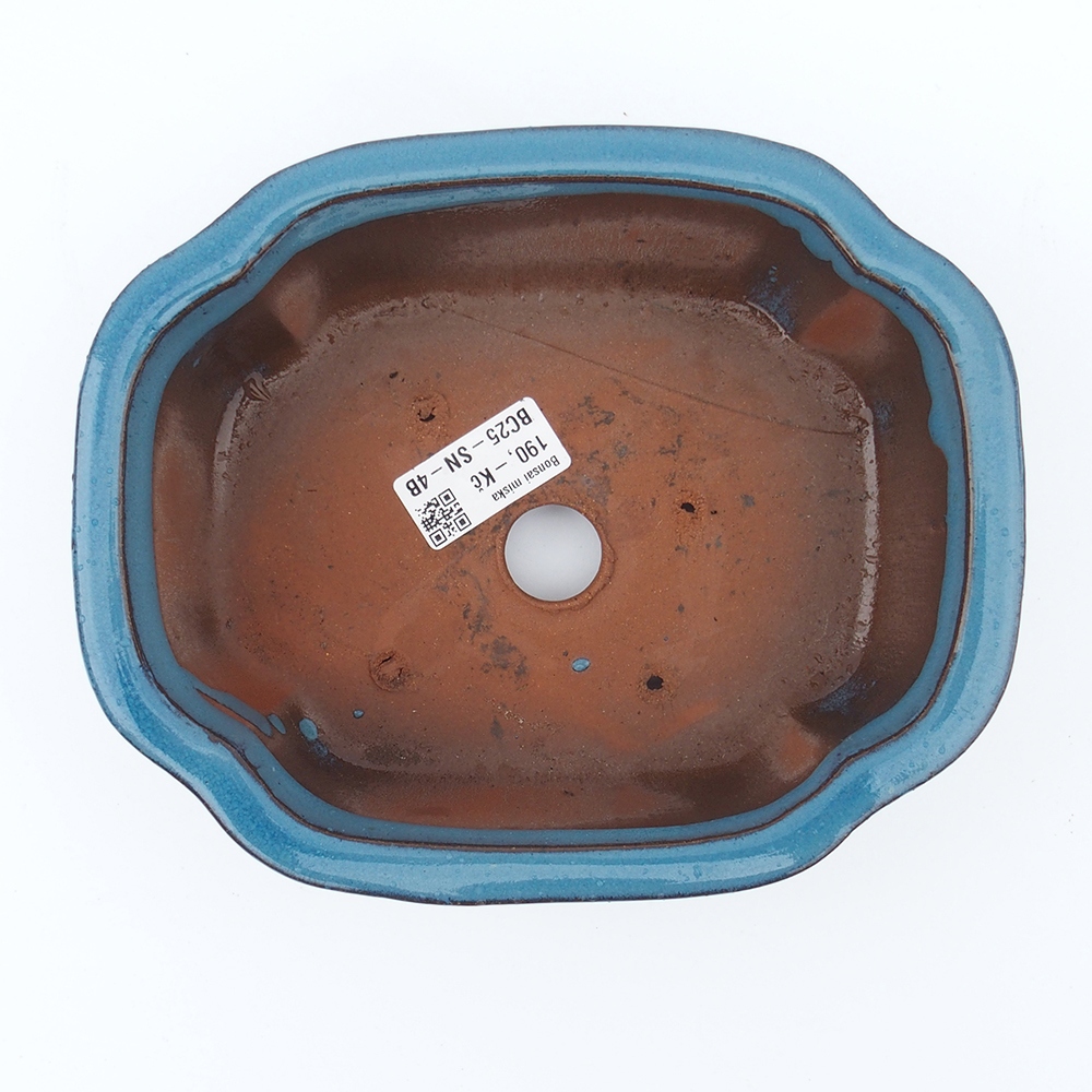 Miska 20 x 16 x 6,5  cm barva modrá