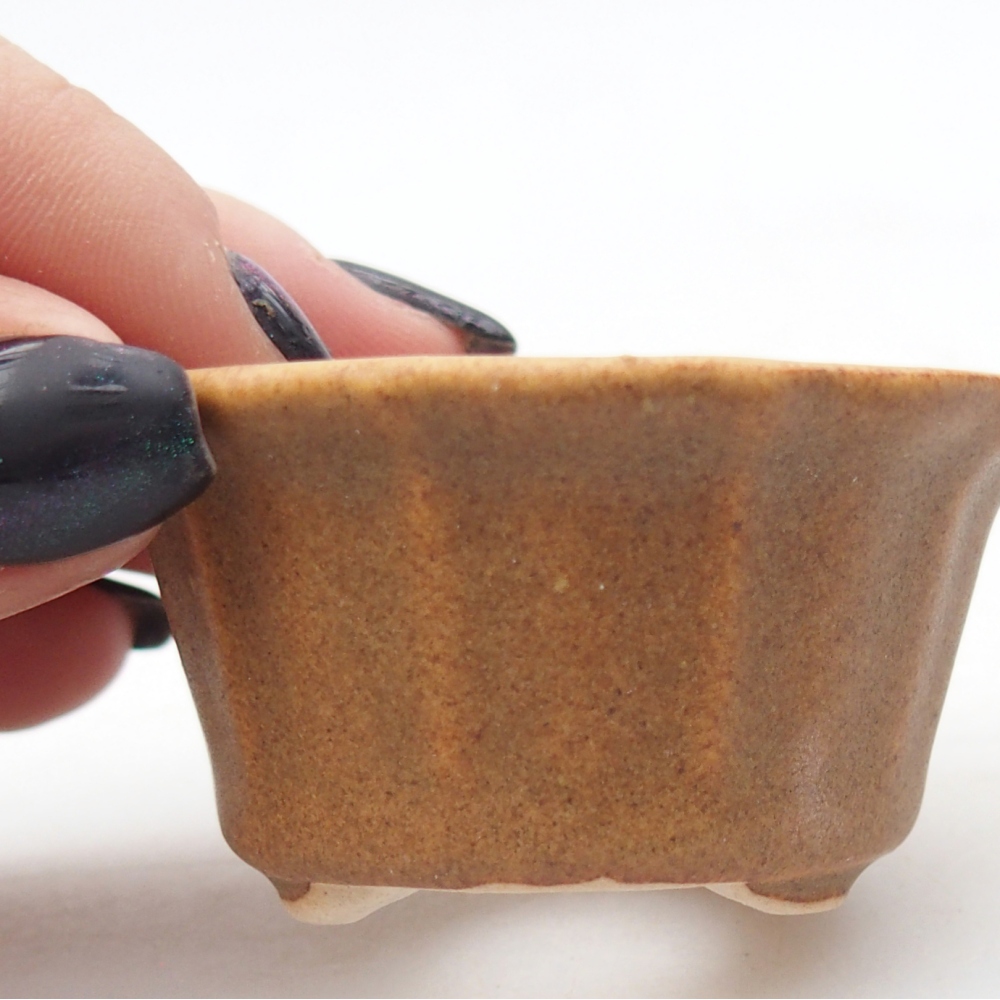 Mini bonsai miska 5,5 x 5,5 x 3 cm, barva hnědá