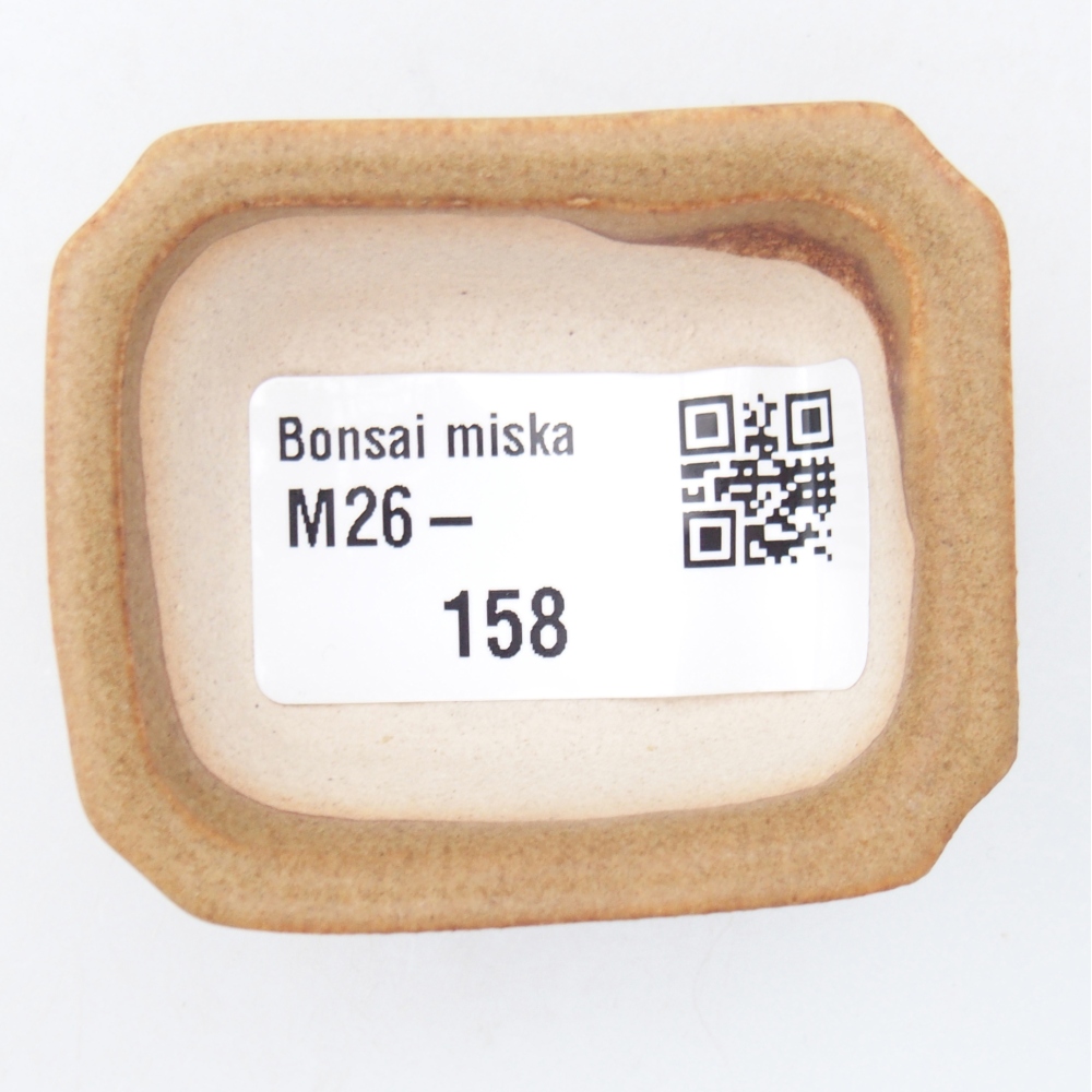 Mini bonsai miska 5,5 x 4,5 x 2 cm, barva hnědá