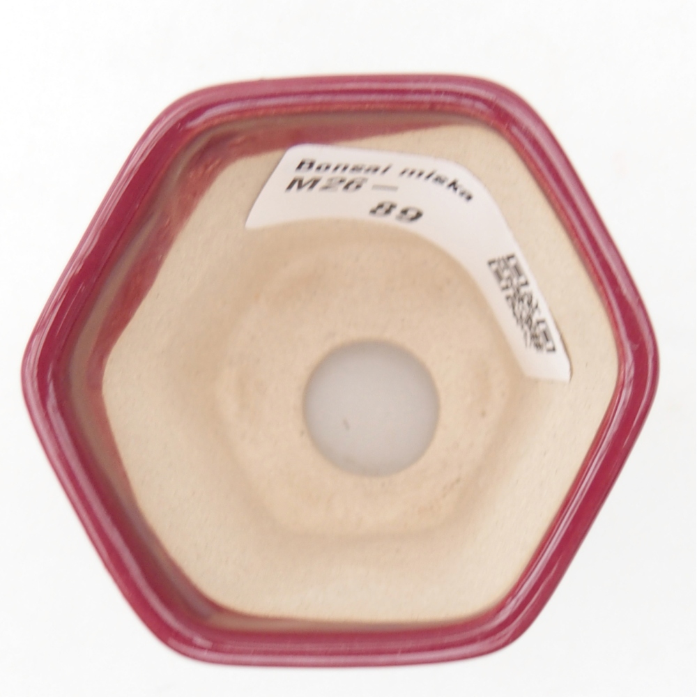 Mini bonsai miska 5,5 x 5 x 5 cm, barva vínová