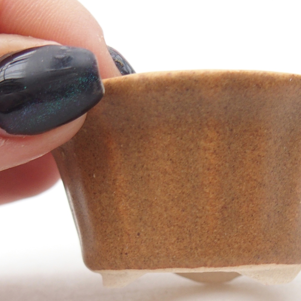 Mini bonsai miska 5,5 x 5,5 x 3 cm, barva hnědá