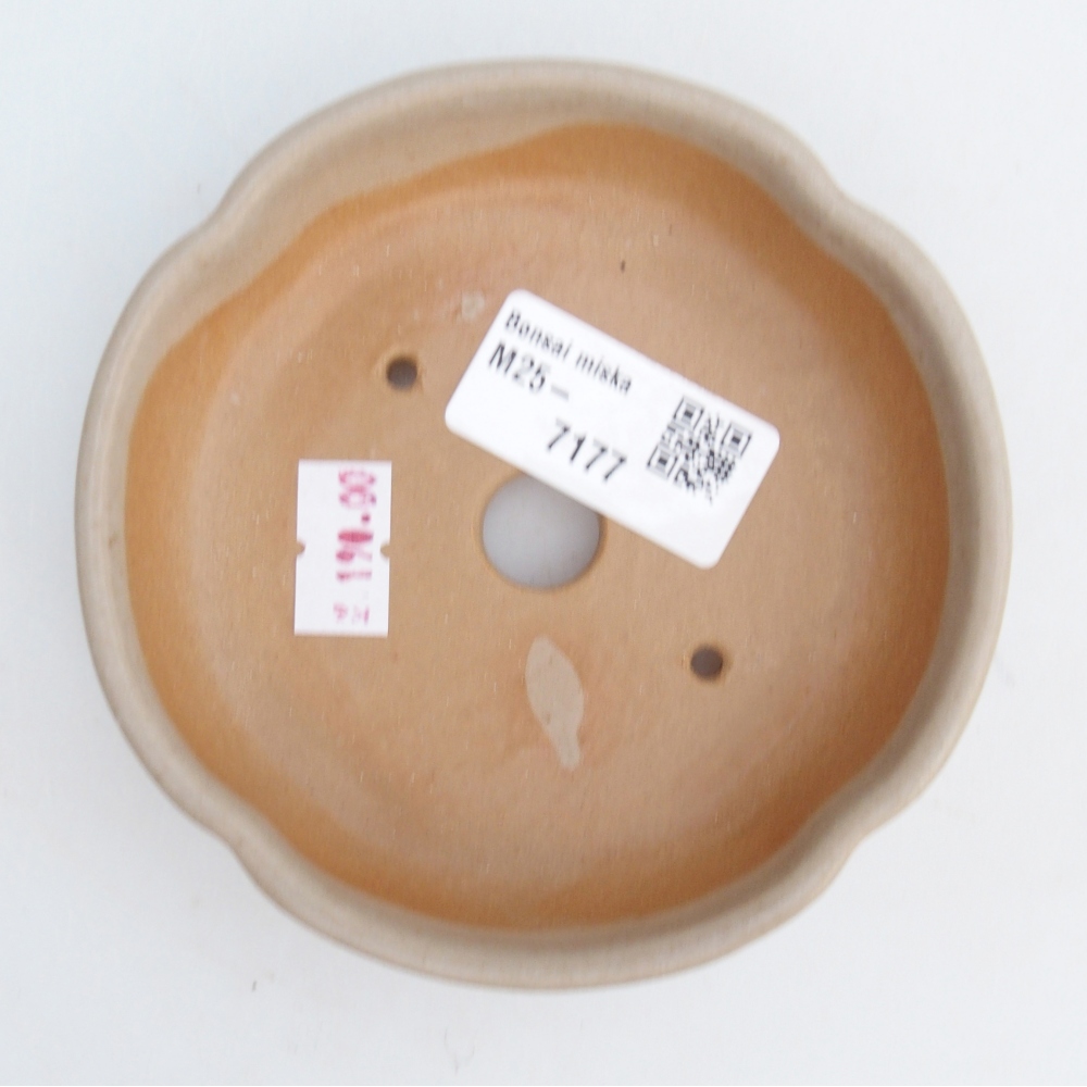 Keramická bonsai miska 11 x 11 x 3 cm, barva béžová