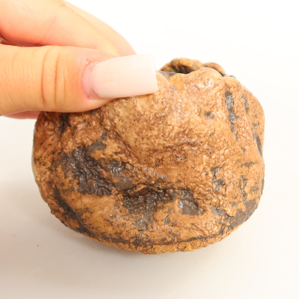 Keramická Skořápka  7 x 6 x 6 cm , barva hnědá