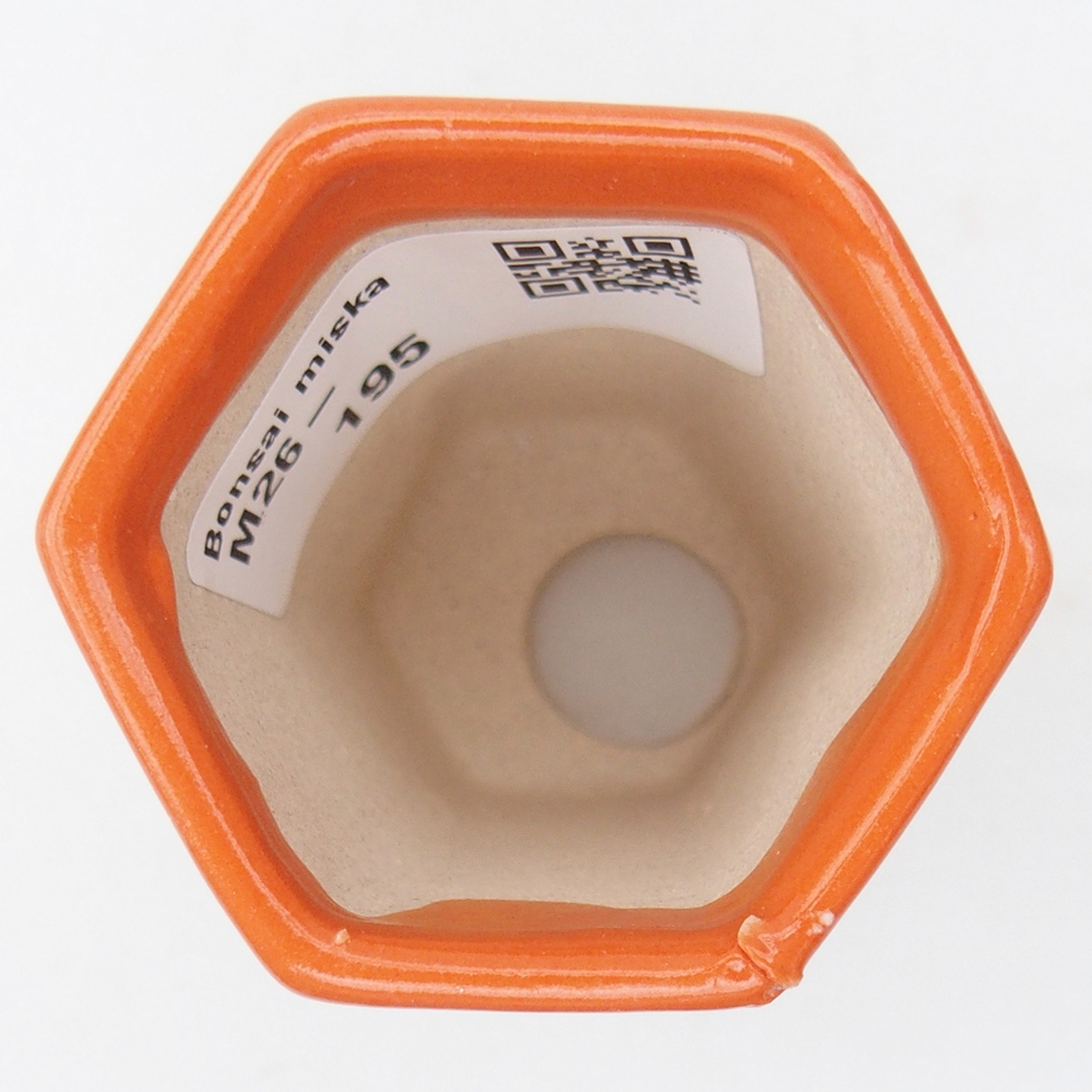 Mini bonsai miska 5 x 4,5 x 6,5 cm, barva oranžová