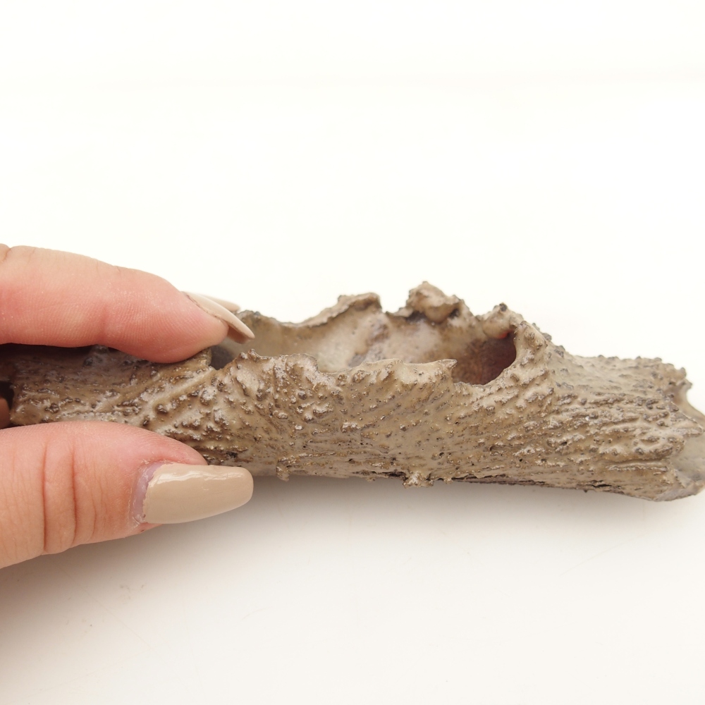 Keramická Skořápka  15 x 5 x 3 cm , barva béžová