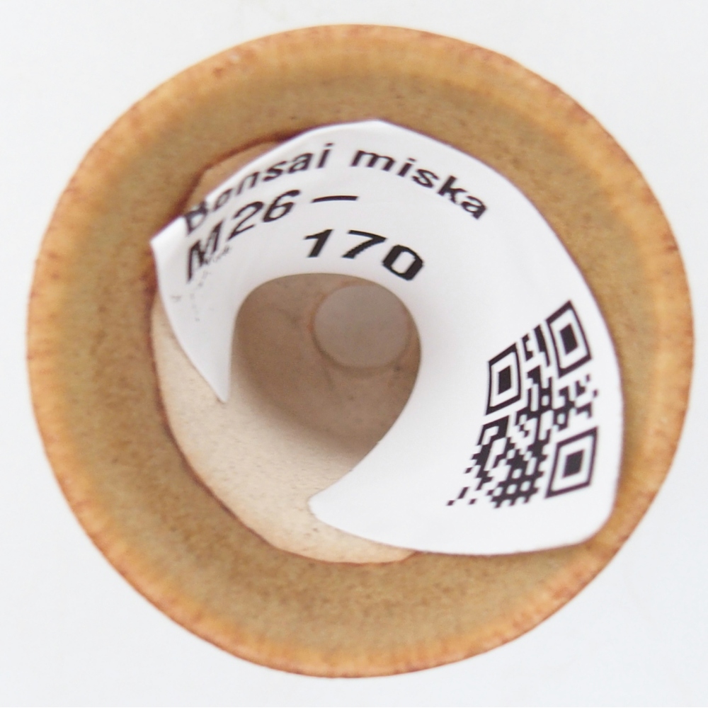 Mini bonsai miska 3 x 3 x 3,5 cm, barva hnědá