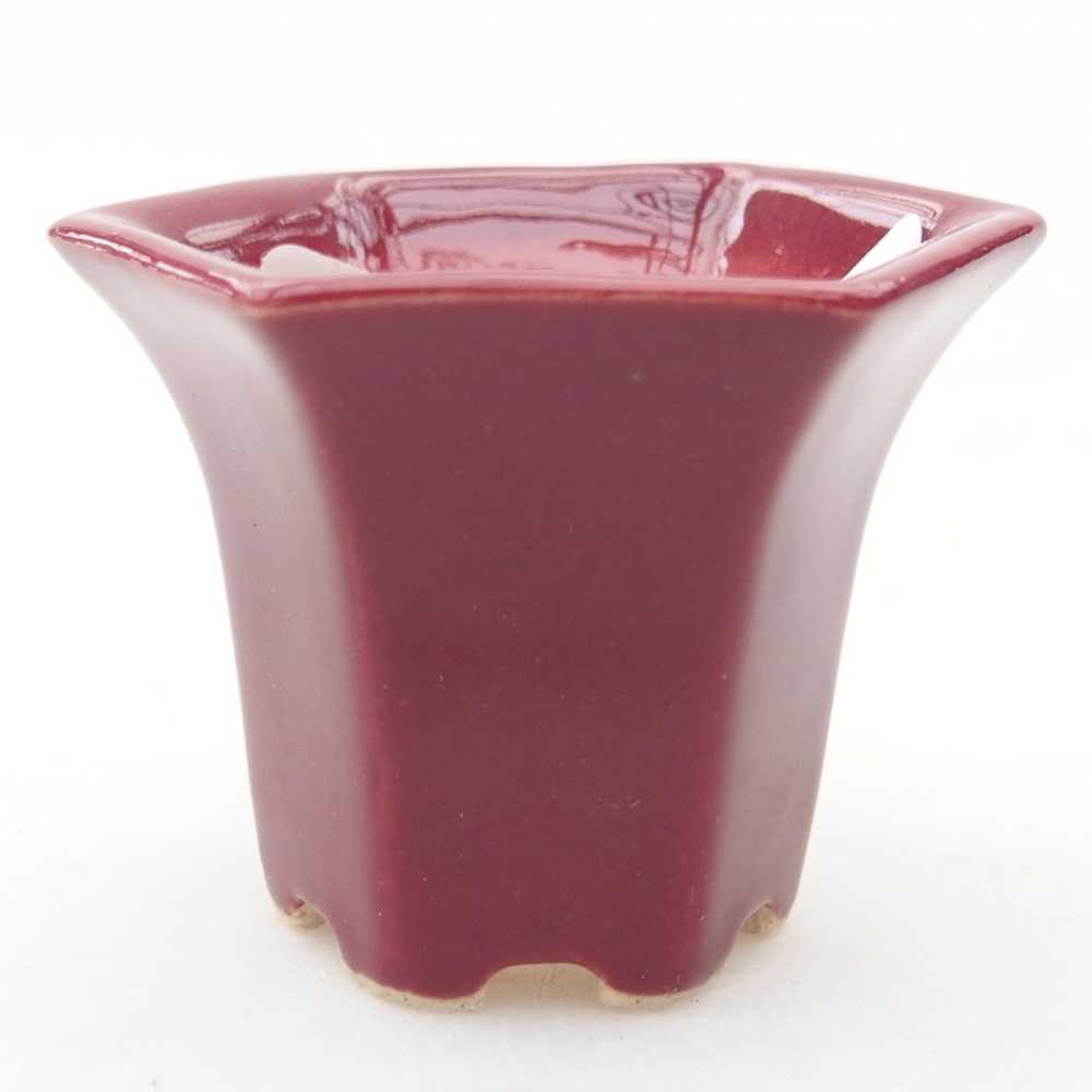 Mini bonsai miska 4 x 4 x 3,5 cm, barva vínová