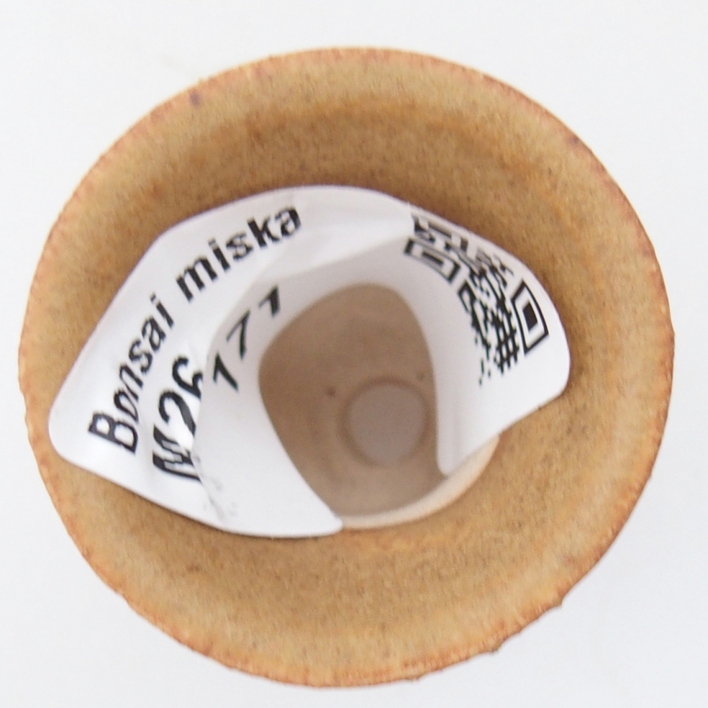 Mini bonsai miska 3 x 3 x 3,5 cm, barva hnědá