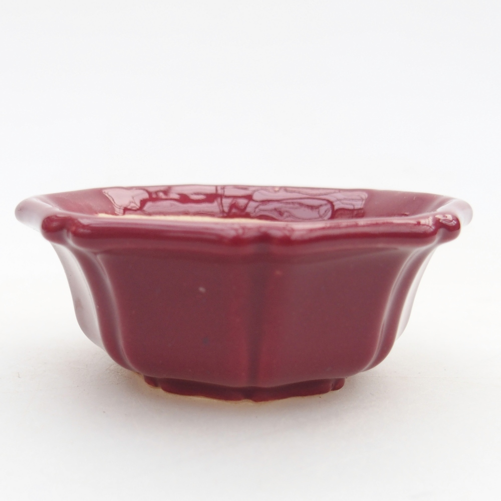 Mini bonsai miska 6 x 6 x 2,5 cm, barva vínová