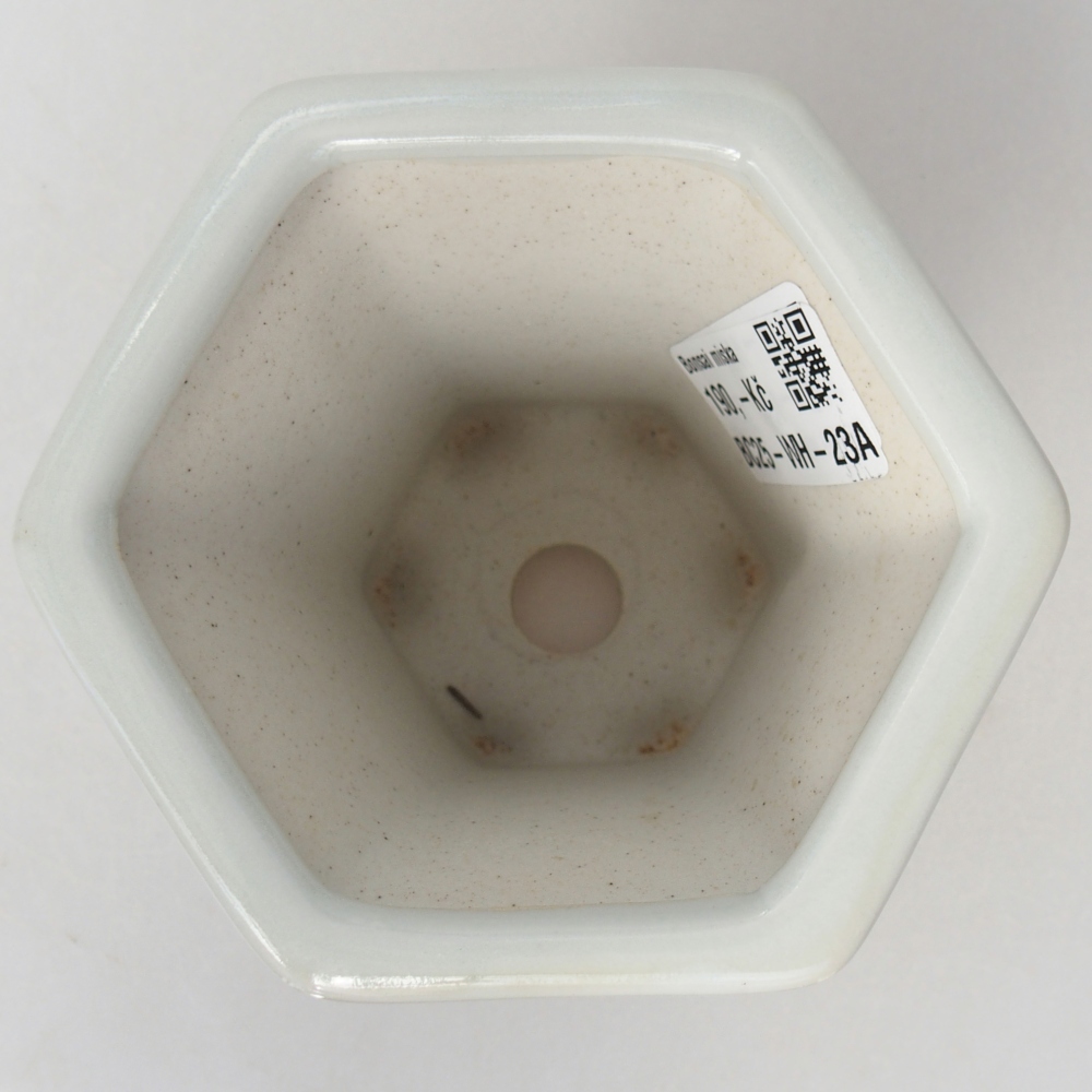Keramická bonsai miska 10 x 9 x 9 cm, barva bílá