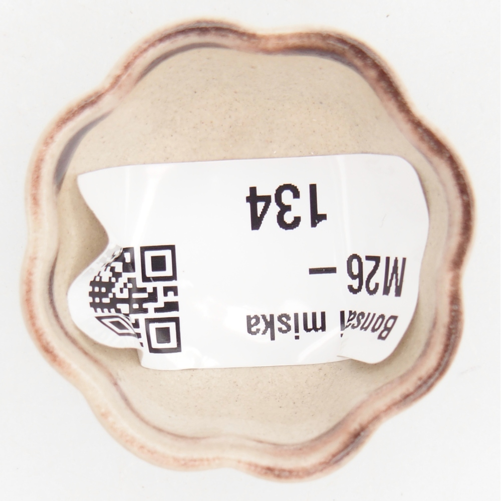 Mini bonsai miska 4 x 4 x 2 cm, barva červená