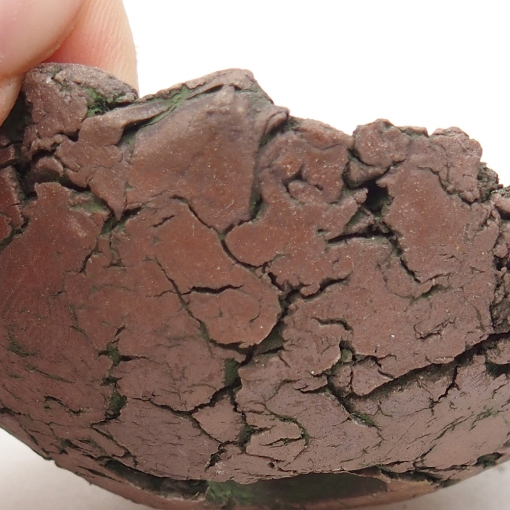 Keramická Skořápka  7 x 6,5 x 4 cm , barva zelená