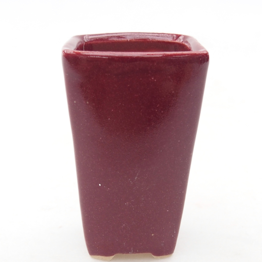 Mini bonsai miska 3,5 x 3 x 5,5 cm, barva vínová