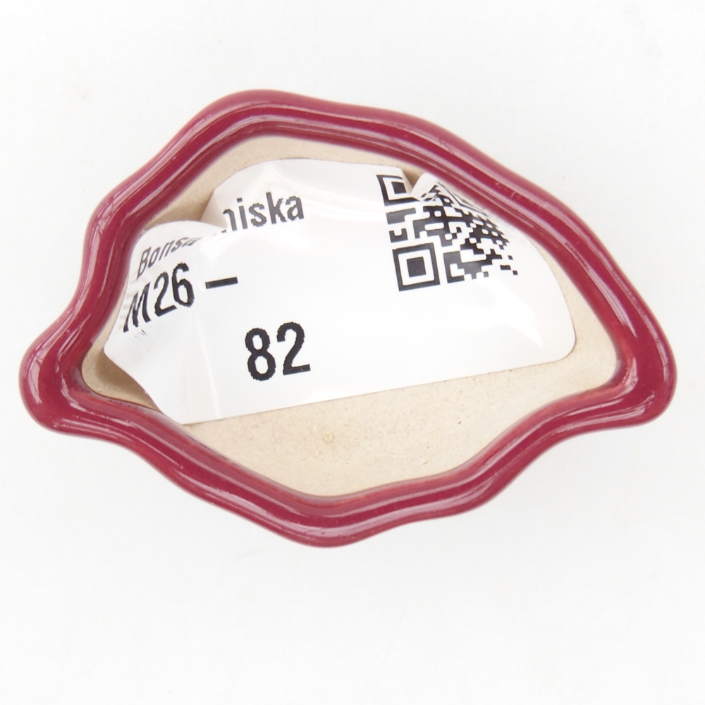 Mini bonsai miska 5 x 3 x 2 cm, barva vínová