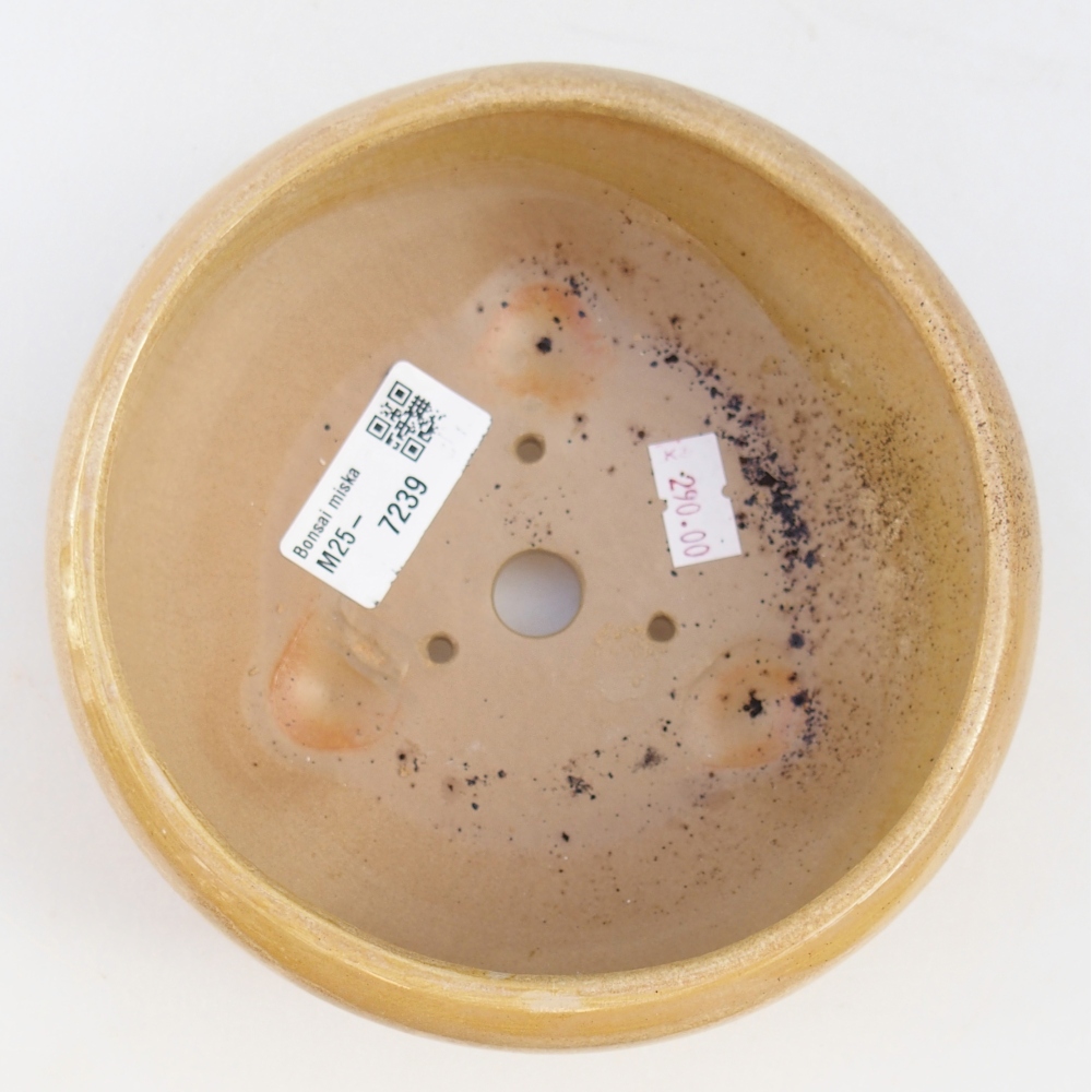 Keramická bonsai miska 14,5 x 14,5 x 7 cm, barva béžová