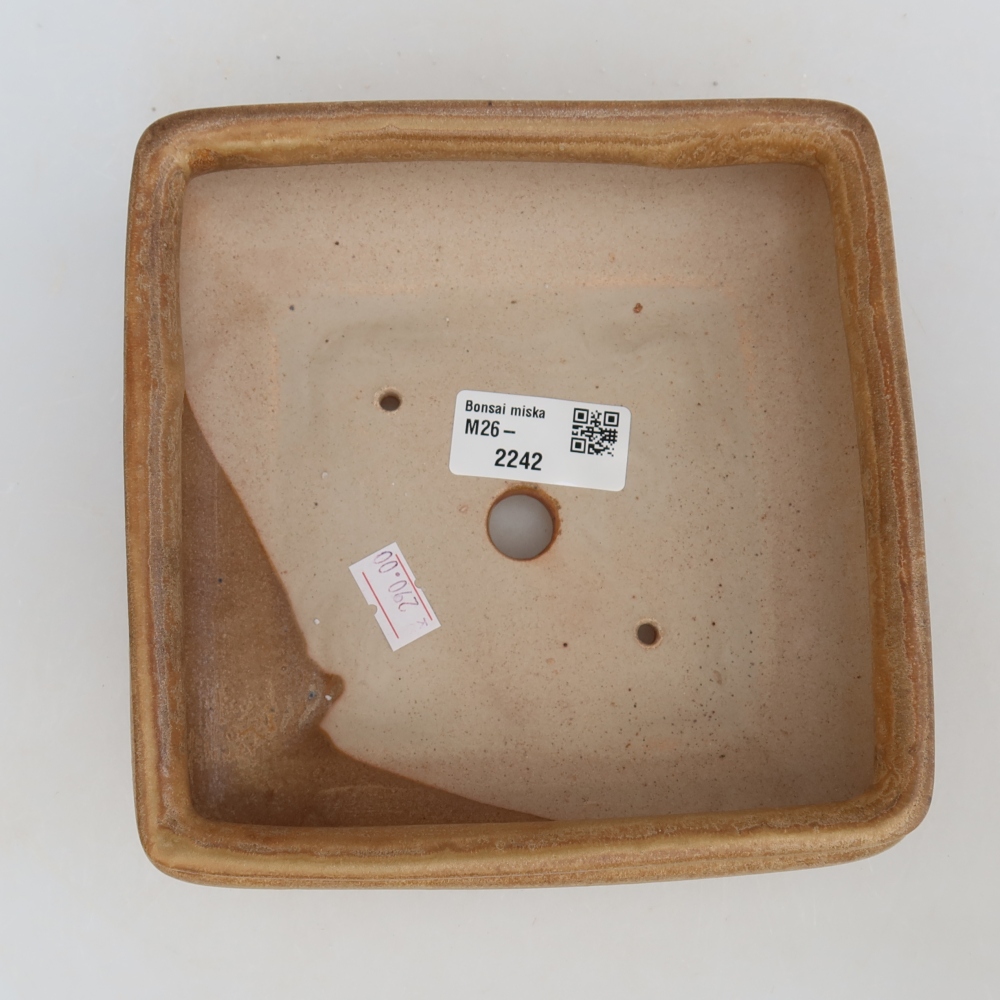 Keramická bonsai miska 15,5 x 15,5 x 6 cm, barva béžová