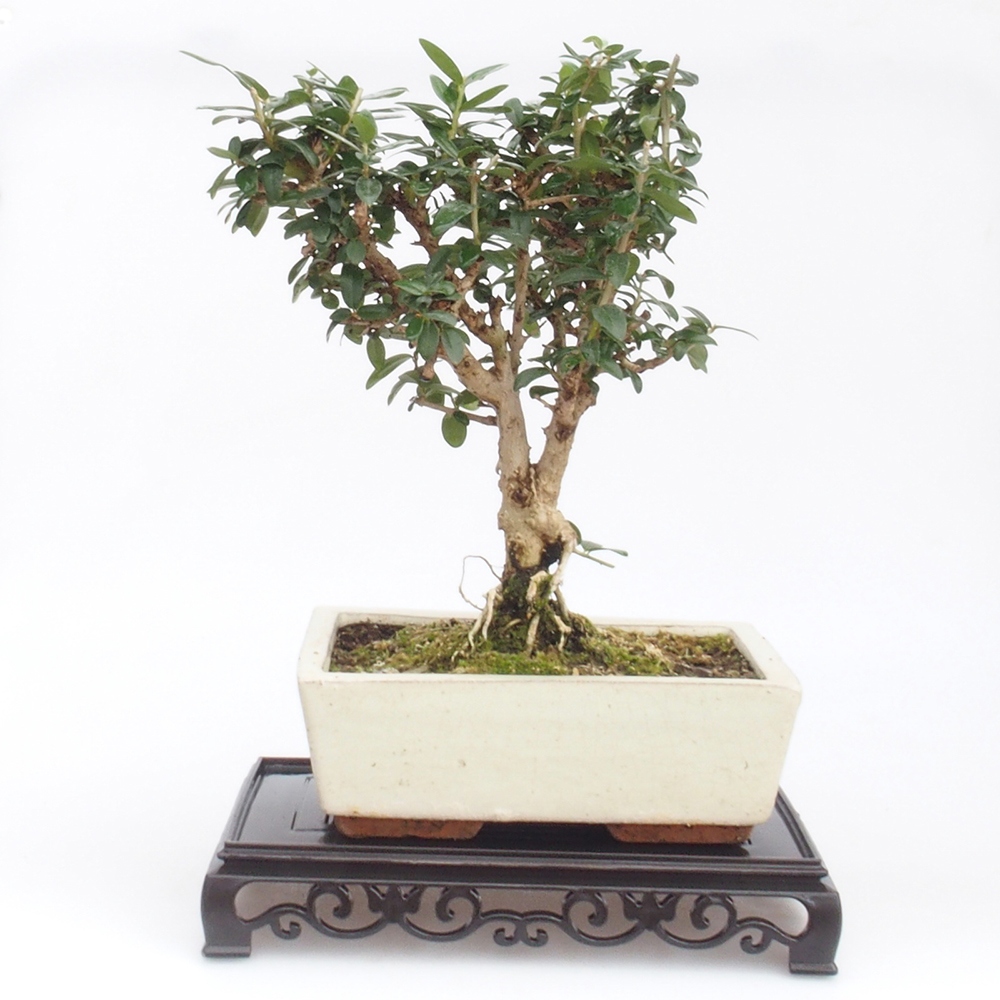 Bonsai stolek plastový obdélník 22 x 14 x 4 cm, barva černá