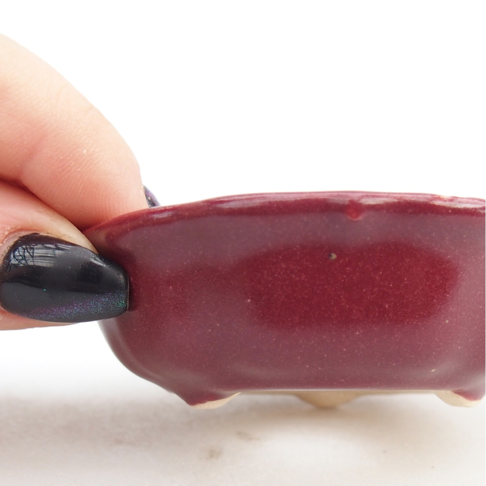 Mini bonsai miska 7,5 x 7,5 x 2,5 cm, barva vínová