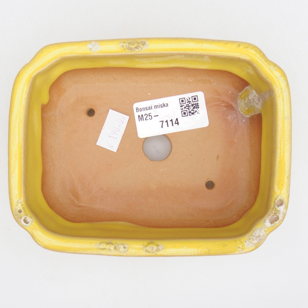 Keramická bonsai miska 14 x 11 x 4 cm, barva žlutá