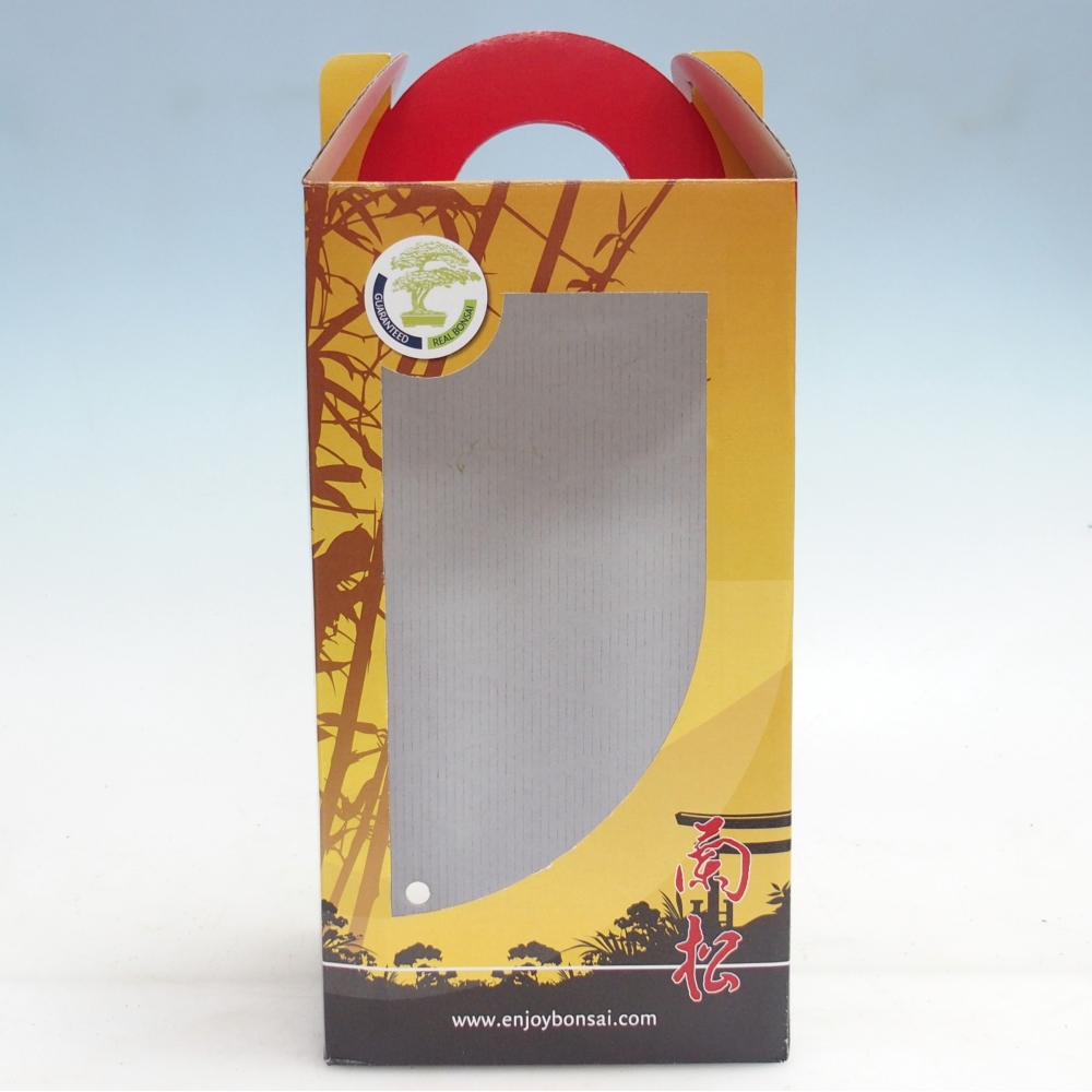Dárková bonsai krabička - papír 