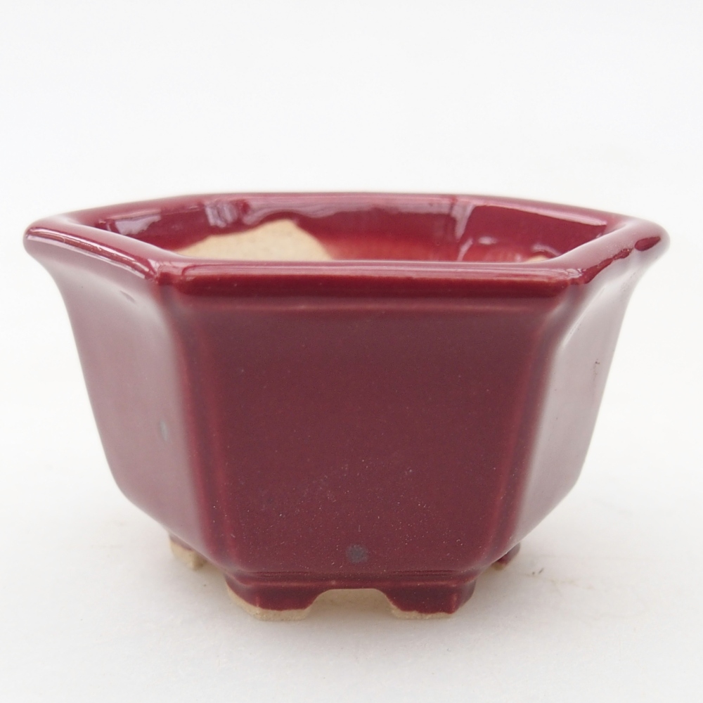 Mini bonsai miska 5 x 4,5 x 3 cm, barva vínová