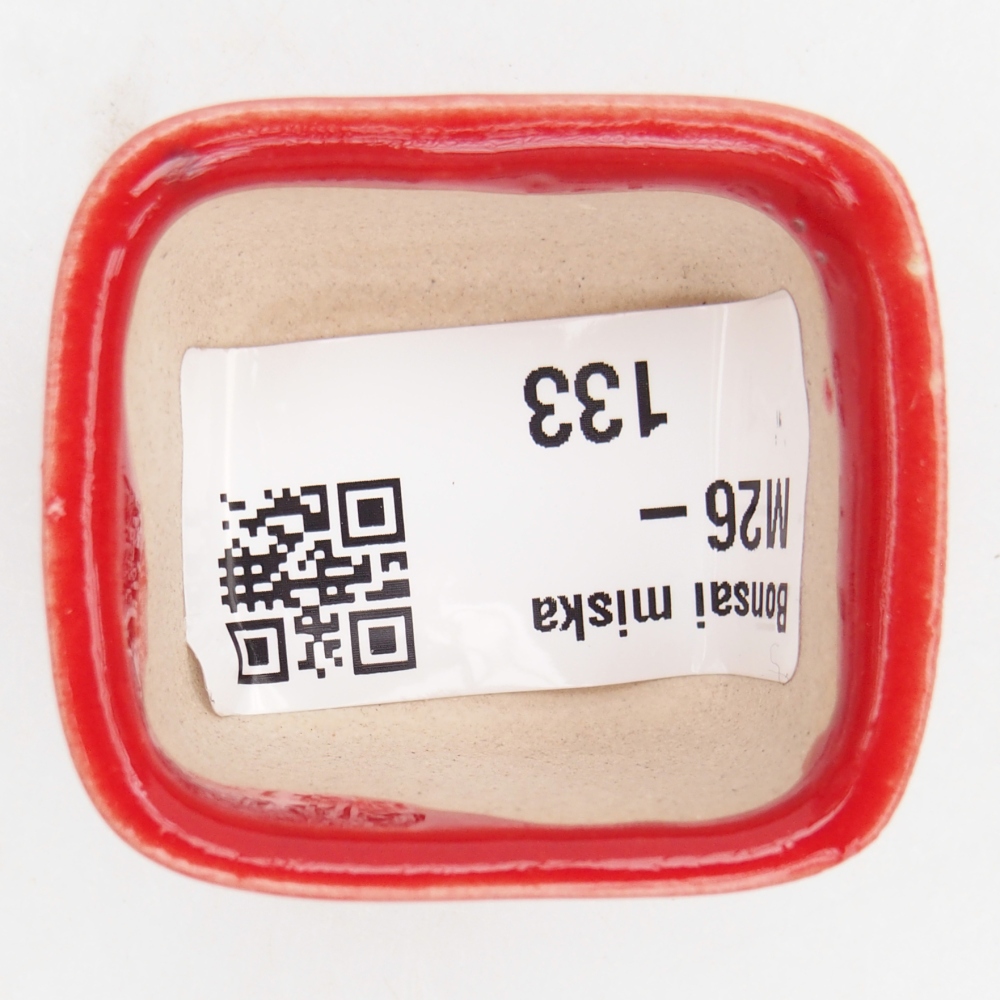 Mini bonsai miska 4 x 3,5 x 2,5 cm, barva červená