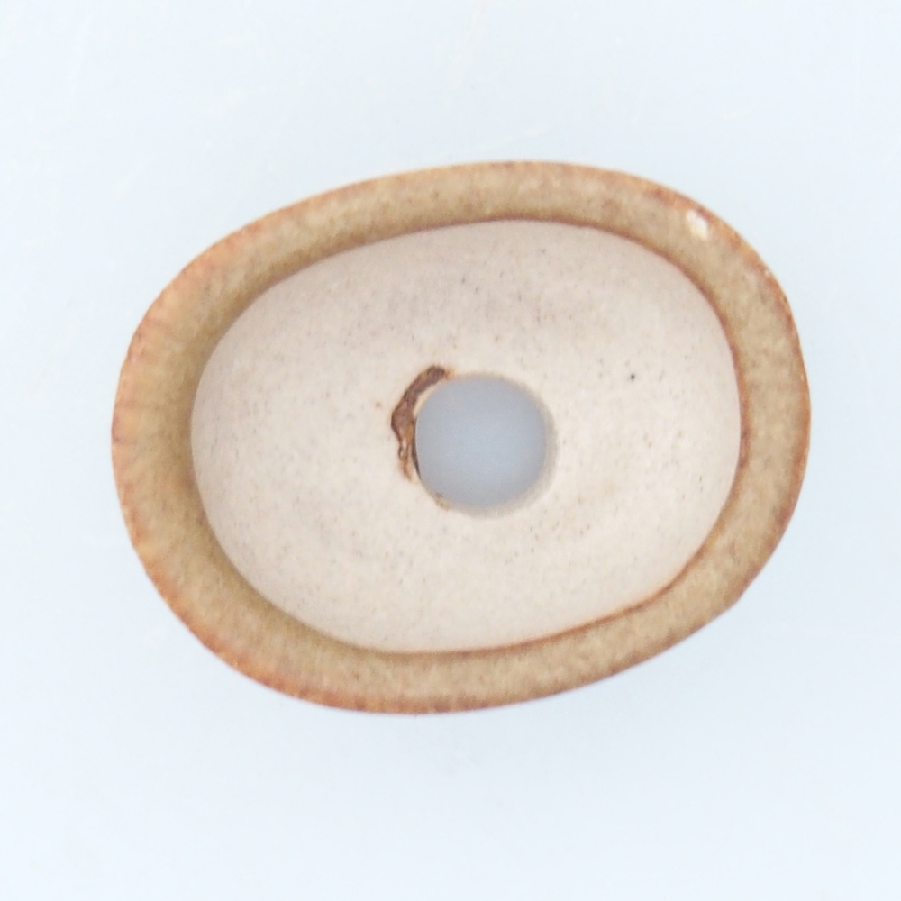 Mini bonsai miska 2,5 x 2 x 1,5 cm, barva hnědá