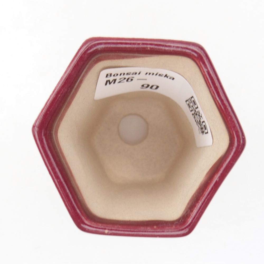 Mini bonsai miska 5 x 4,5 x 6,5 cm, barva vínová