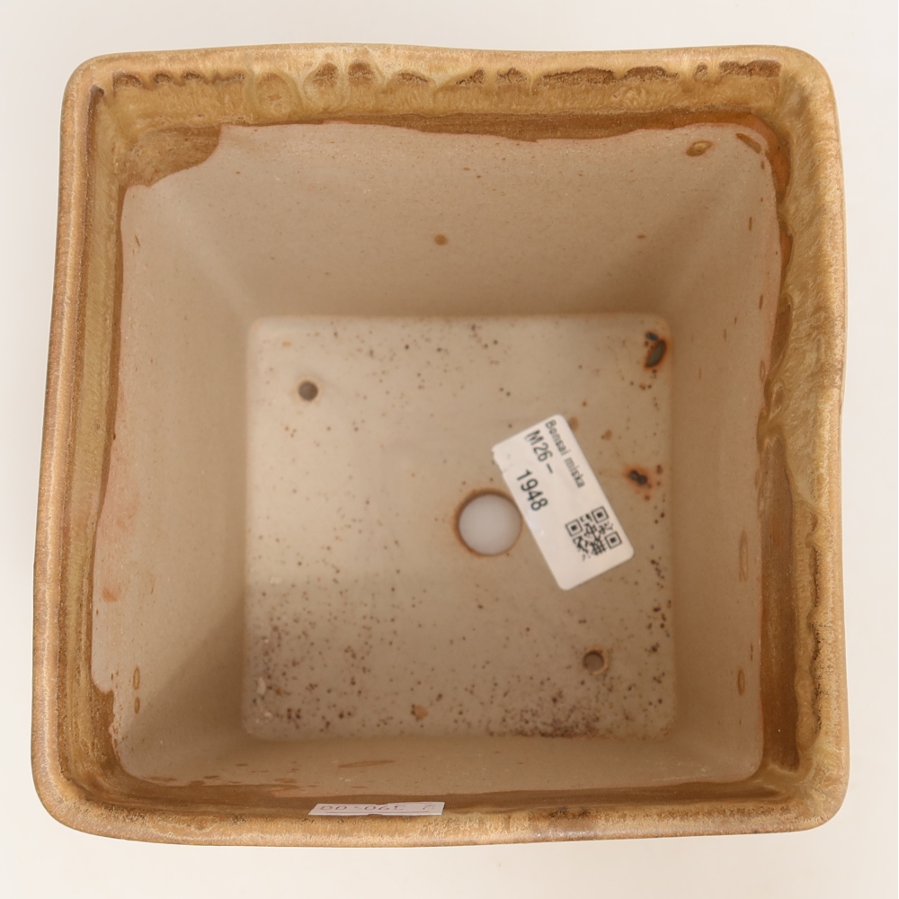Keramická bonsai miska 13 x 13 x 13,5 cm, barva béžová