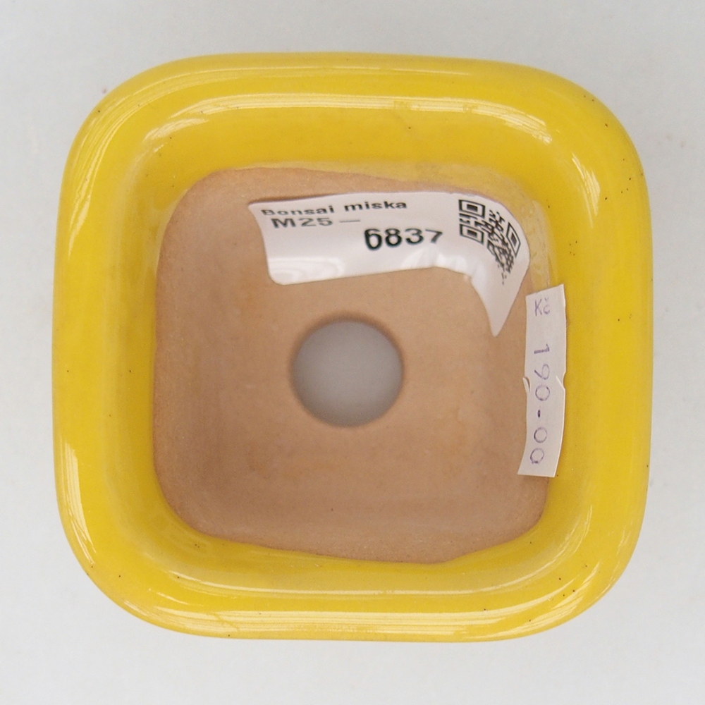 Keramická bonsai miska 6,5 x 6,5  x 5 cm, barva žlutá
