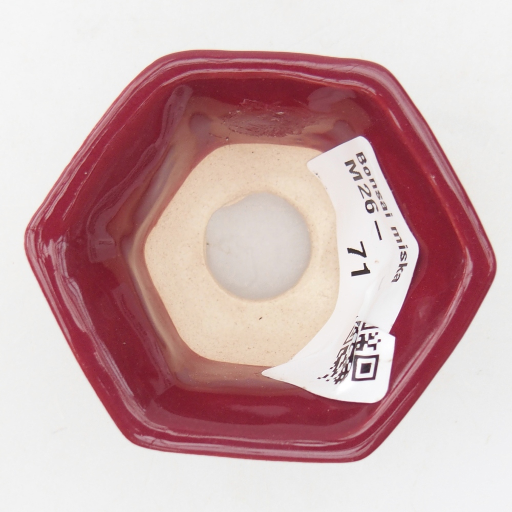 Mini bonsai miska 5,5 x 5 x 3 cm, barva vínová