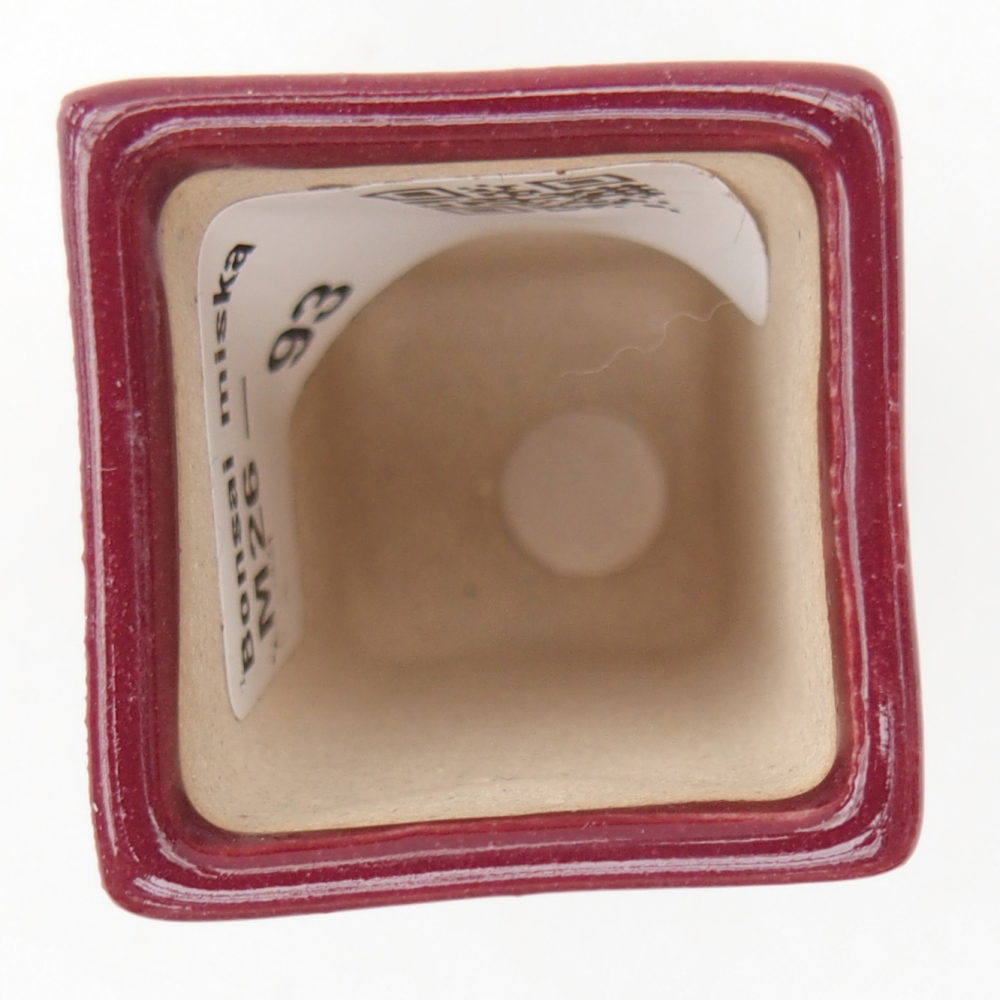 Mini bonsai miska 3 x 3 x 5,5 cm, barva vínová