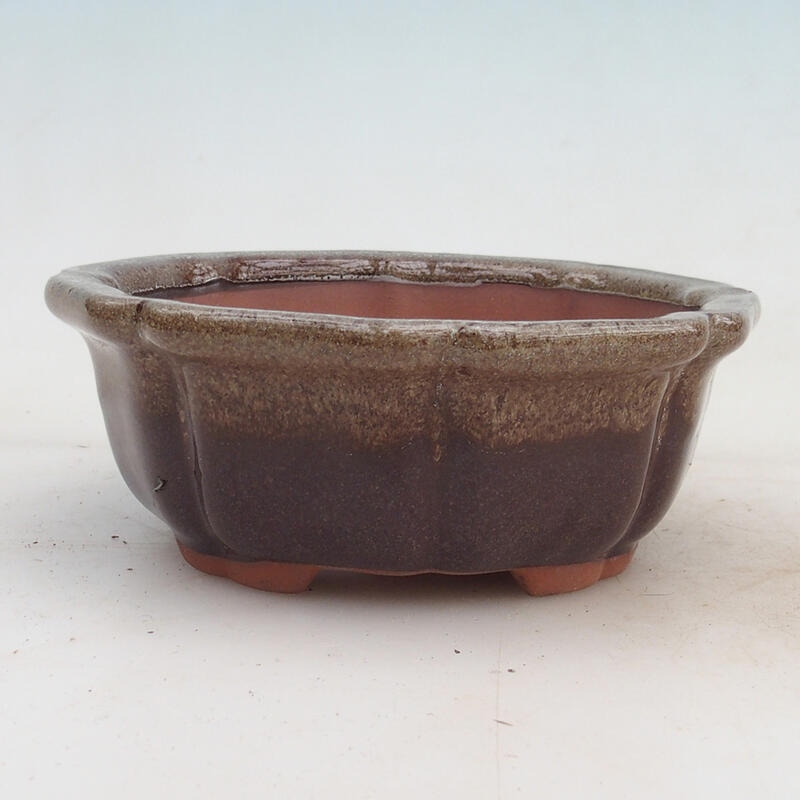 Bonsai miska 14 x 14 x 5,5 cm, barva hnědá