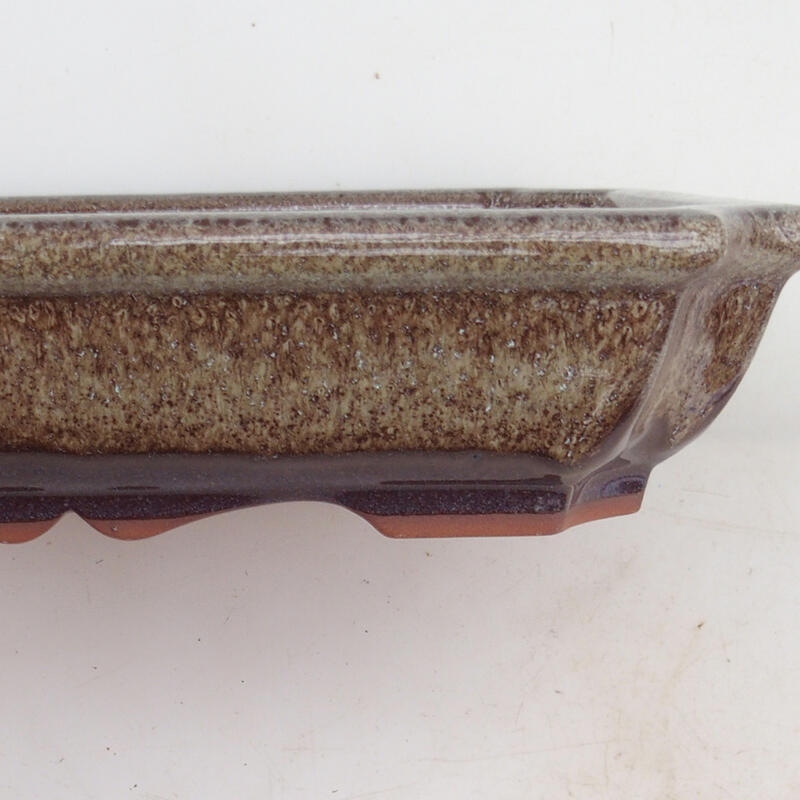 Bonsai miska 22 x 16,5 x 4 cm, barva hnědá