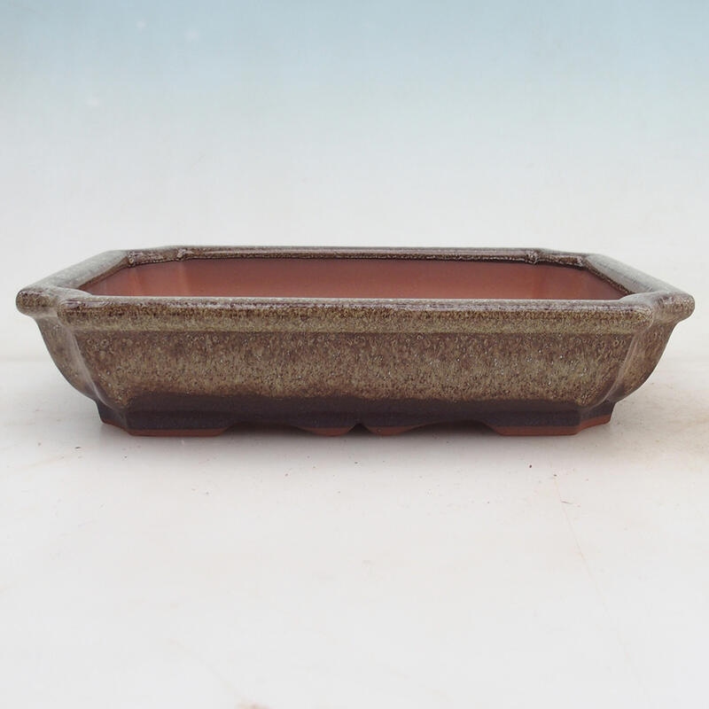 Bonsai miska 22 x 16,5 x 4 cm, barva hnědá