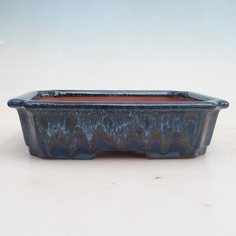 Bonsai miska 22 x 17 x 5,5 cm, barva modrá