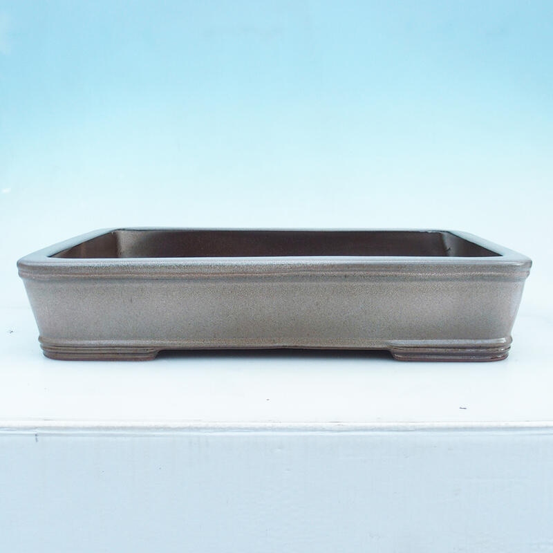 Bonsai miska 51 x 34 x 10,5 cm, barva béžová -pouze paletová přeprava