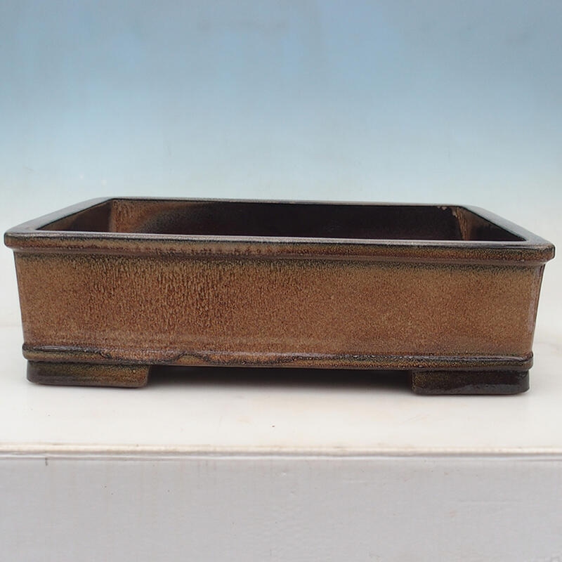 Bonsai miska 52 x 41 x 15 cm, barva hnědá -pouze paletová přeprava