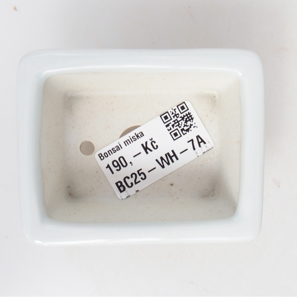Mini bonsai miska 8 x 6 x 3 cm, barva bílá