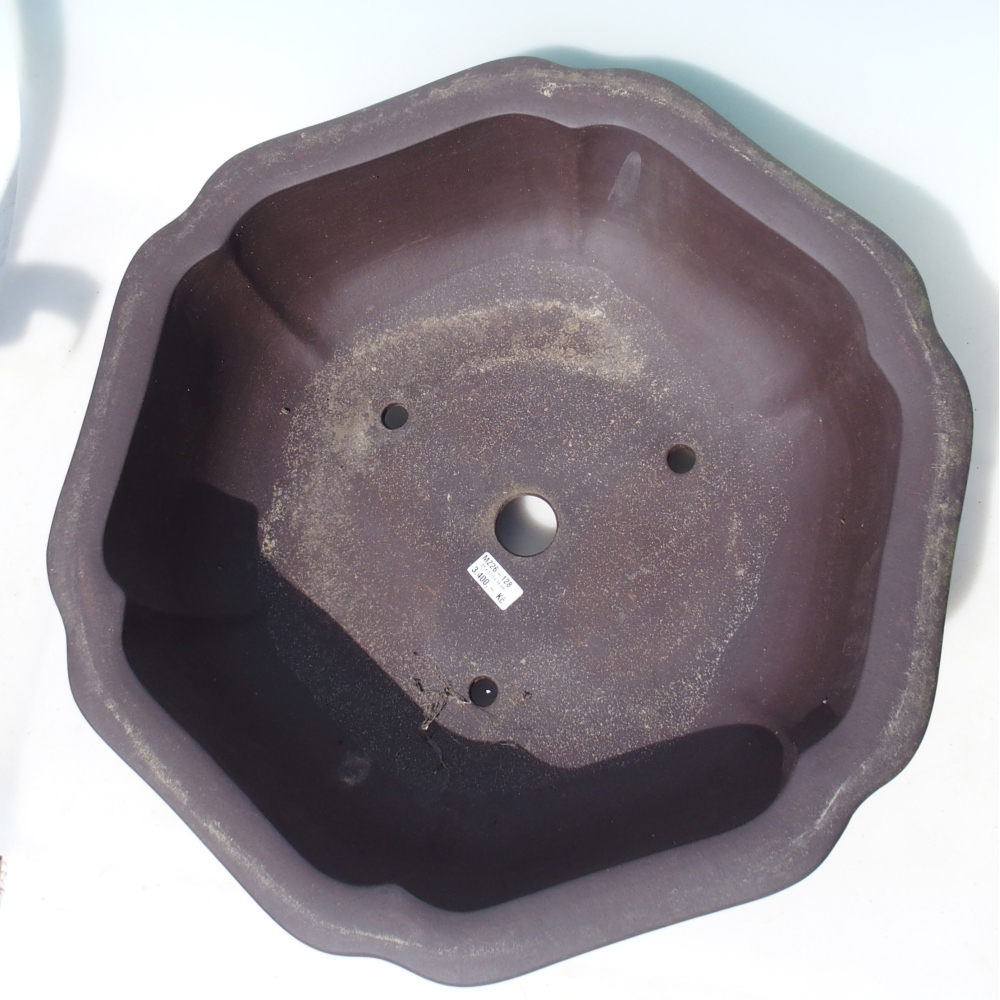 Bonsai miska 61 x 57,5 x 18 cm -  barva hnědá