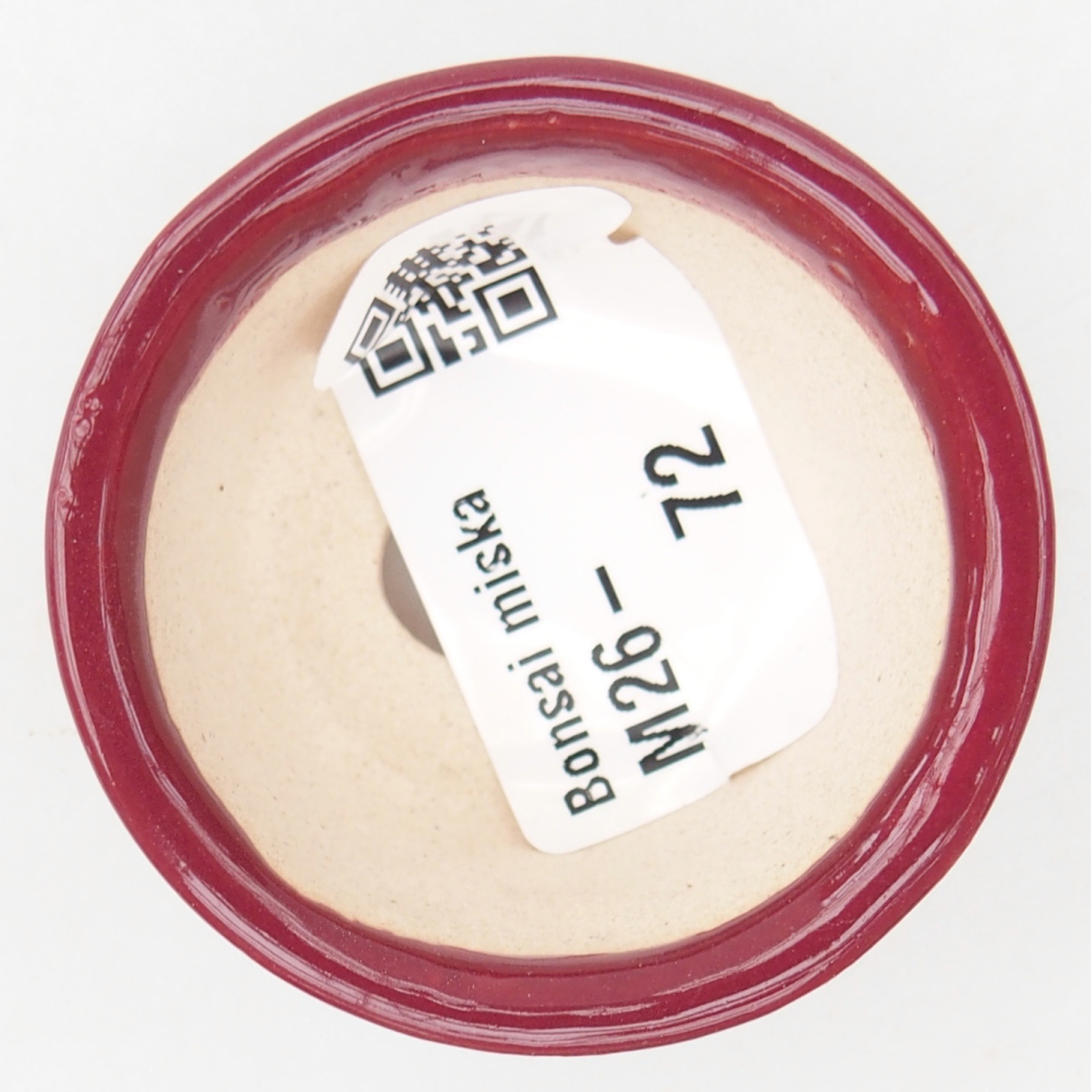 Mini bonsai miska 4,5 x 4,5 x 2,5 cm, barva vínová