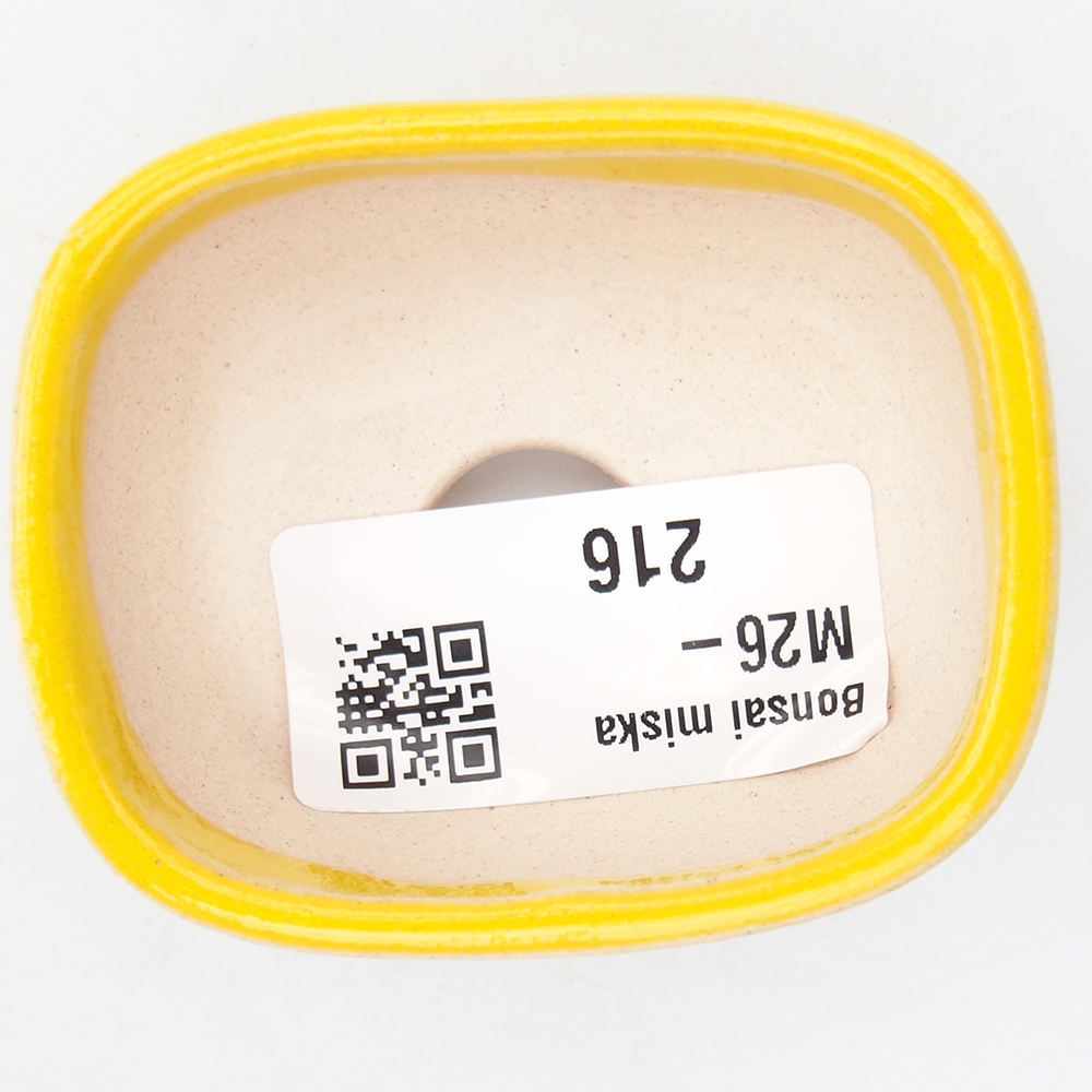 Mini bonsai miska 6 x 5 x 2,5 cm, barva žlutá