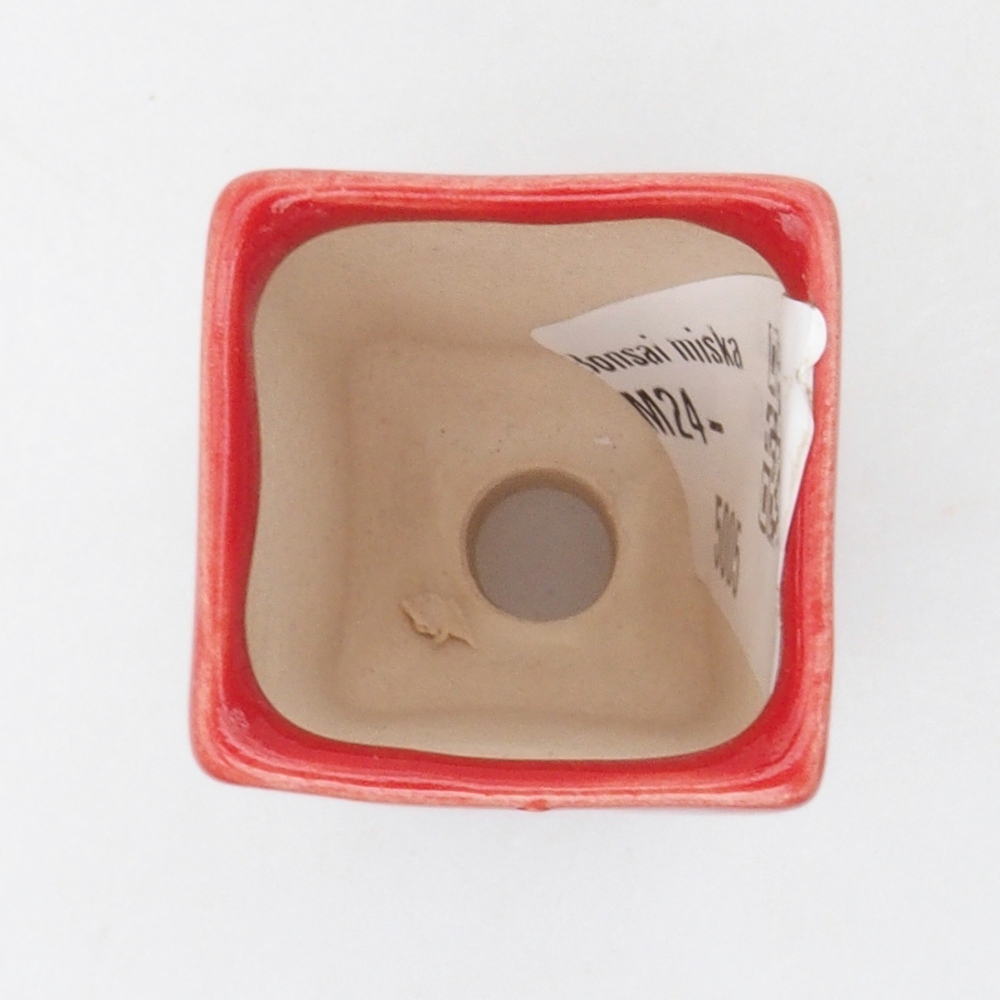 Mini bonsai miska 3 x 3 x 5,5 cm, barva červená